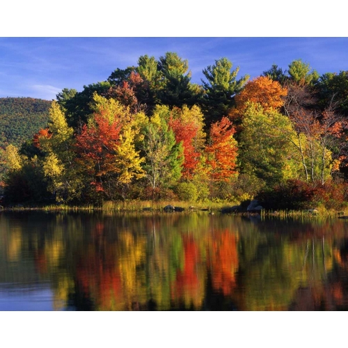 NH Trees in autumn reflecting in Lake Kanasatka